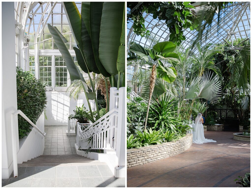 interior of the palm house at Franklin Park Co on a September wedding day